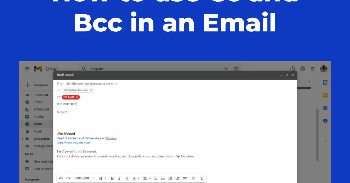 use Cc and Bcc in an email